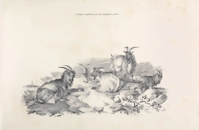 Thomas Sydney Cooper’s cattle subjects Pl.04 av Thomas Sidney Cooper