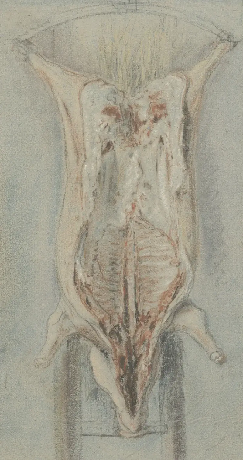 Geschlachtetes Schwein auf einer Leiter von Jean Siméon Chardin
