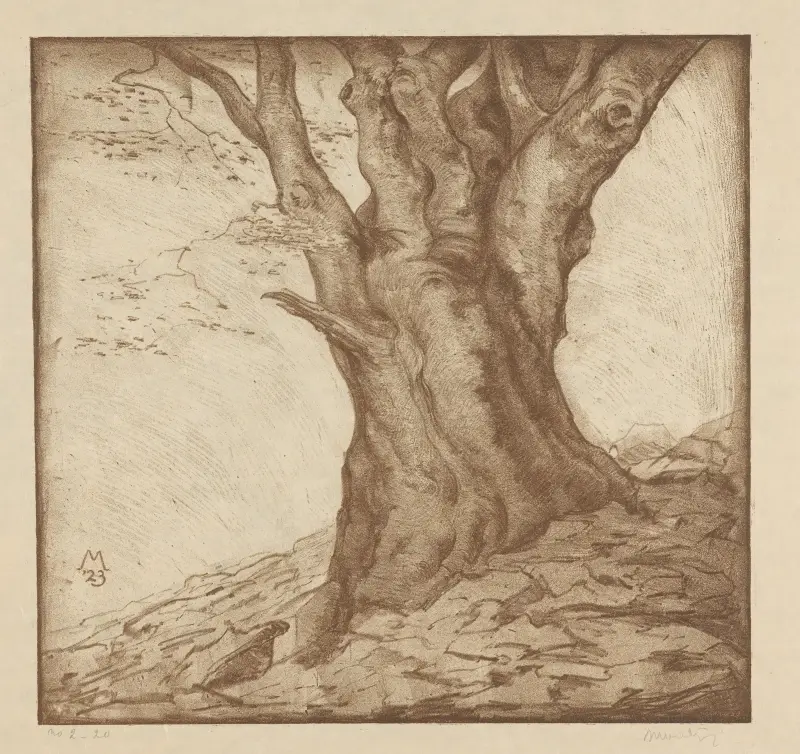 Buchenstamm von Simon Moulijn