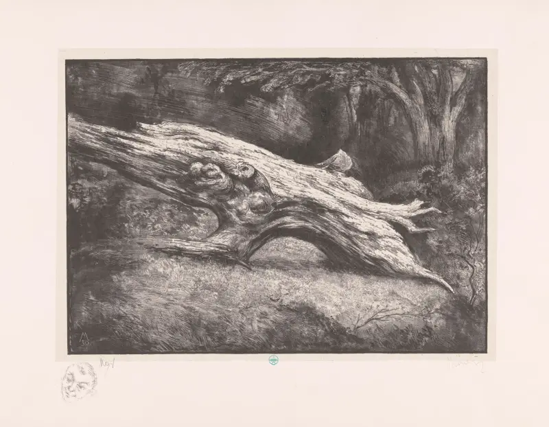 Baumstamm Le Charlemagne (Fontainebleau) von Simon Moulijn