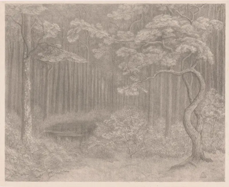 Bosgezicht von Simon Moulijn