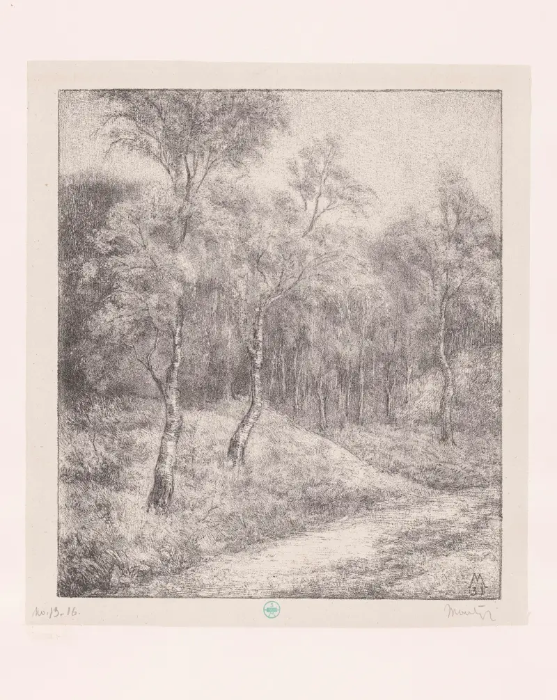 Bospad met berken von Simon Moulijn
