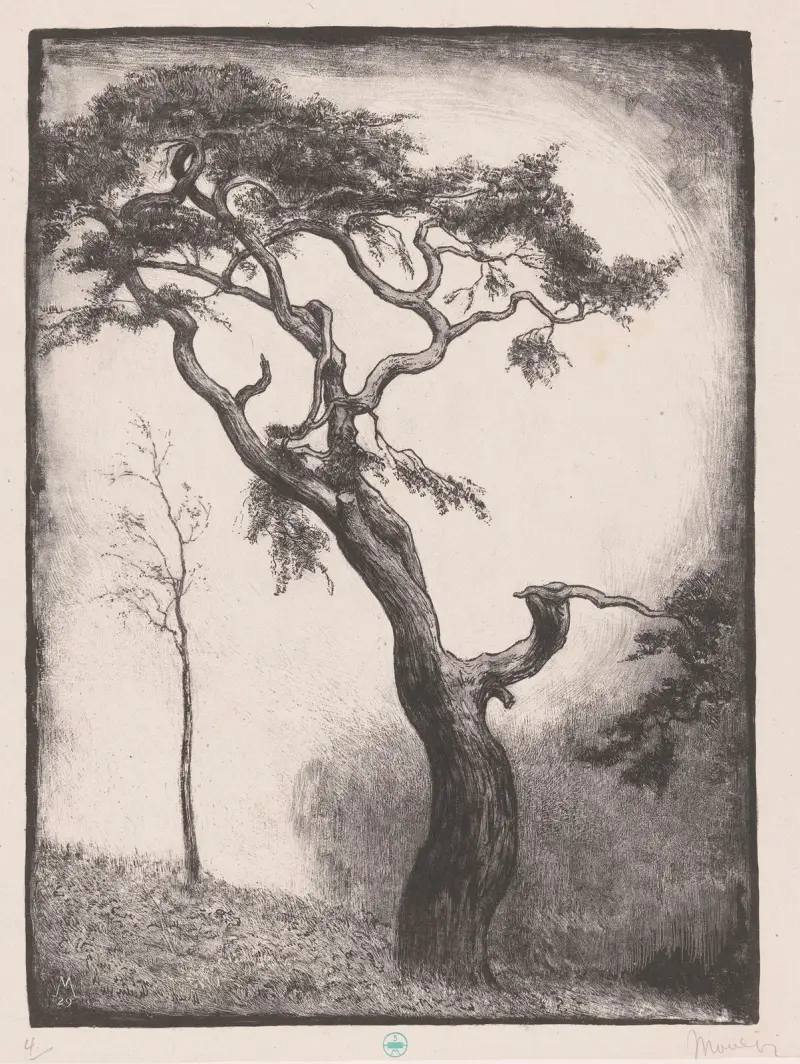 Dennenboom von Simon Moulijn