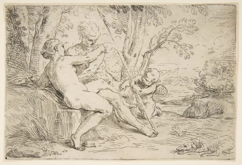 Venuše a Adónis, Simone Cantarini