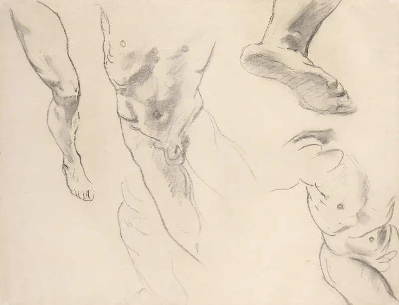 Figure Studies of a Nude Youth av John Singer Sargent
