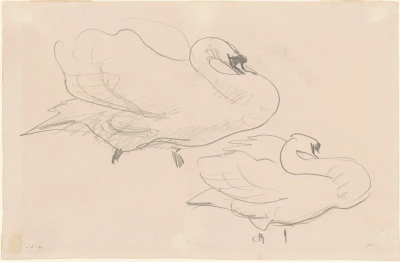 Studies of a Swan av John Singer Sargent