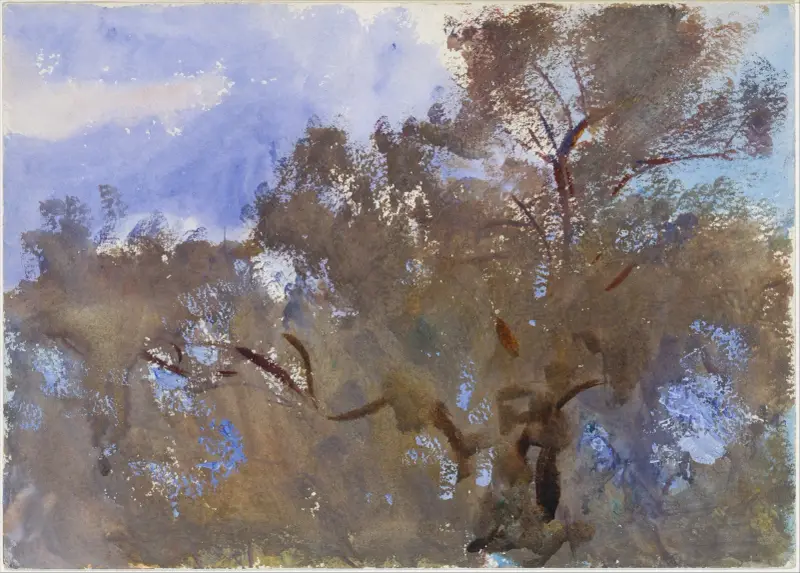 Baumwipfel vor dem Himmel von John Singer Sargent