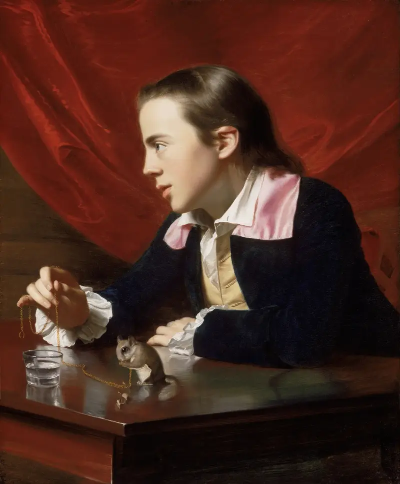 Chlapec s poletuškou (Henry Pelham), John Singleton Copley