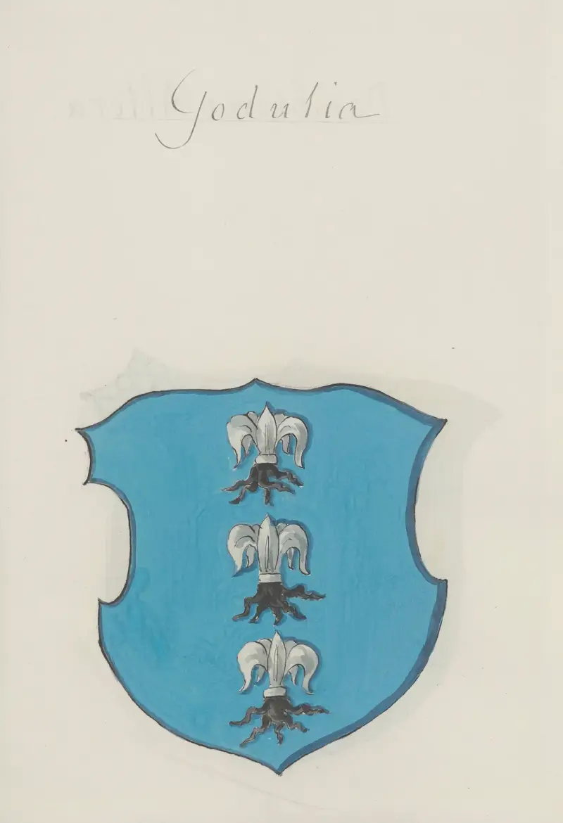 Arma Regni et baronum Poloniae ac M. D. Lithuaniae Pl.050 av Boleslaw Starzyński