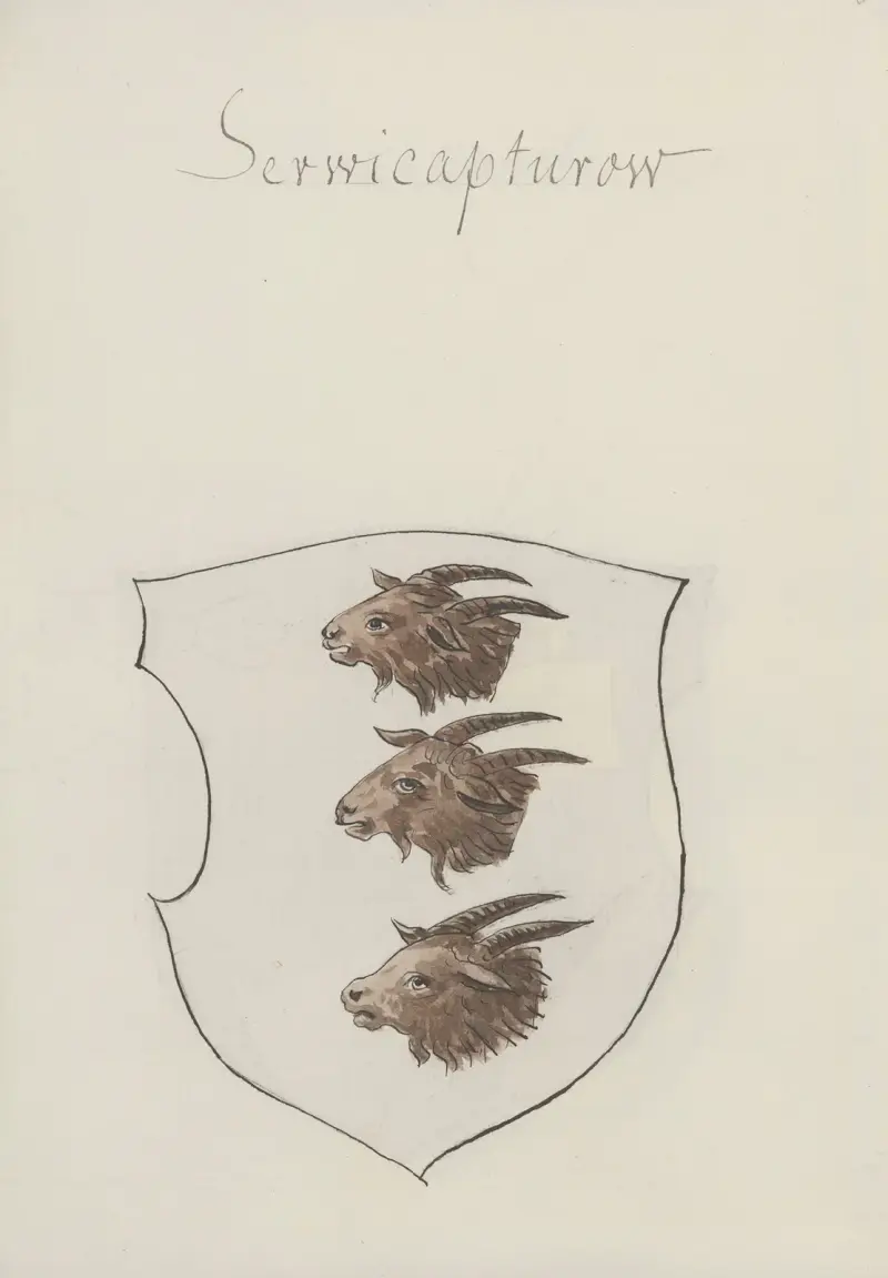 Arma Regni et baronum Poloniae ac M. D. Lithuaniae Pl.060 av Boleslaw Starzyński