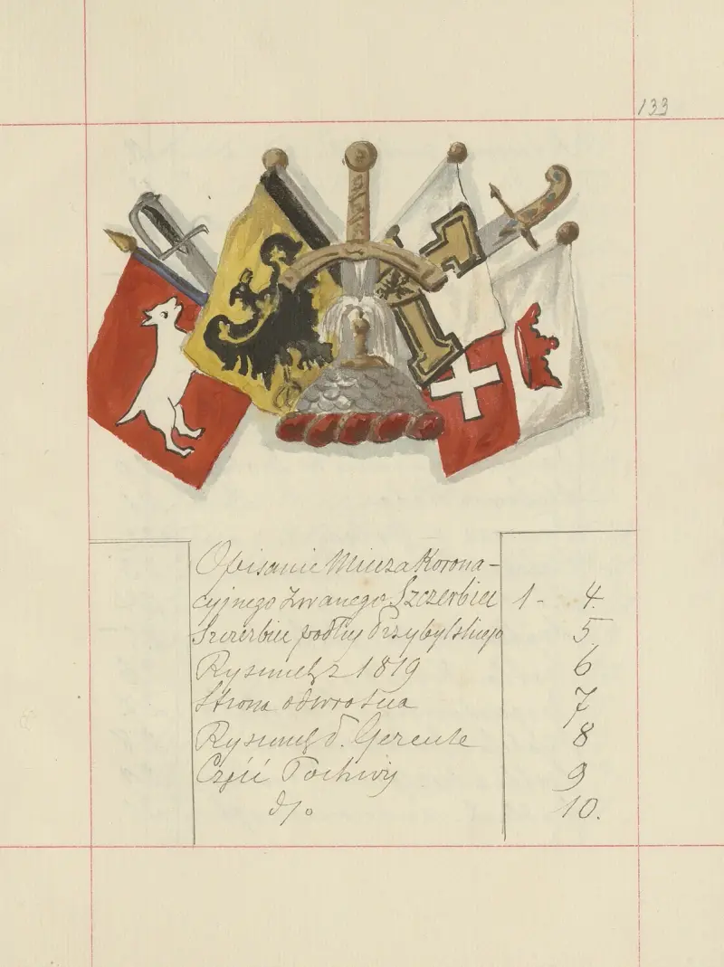 Broń zaczepna i odporna w Polsce. T. 5, Uzupełnienia Pl.100 av Boleslaw Starzyński