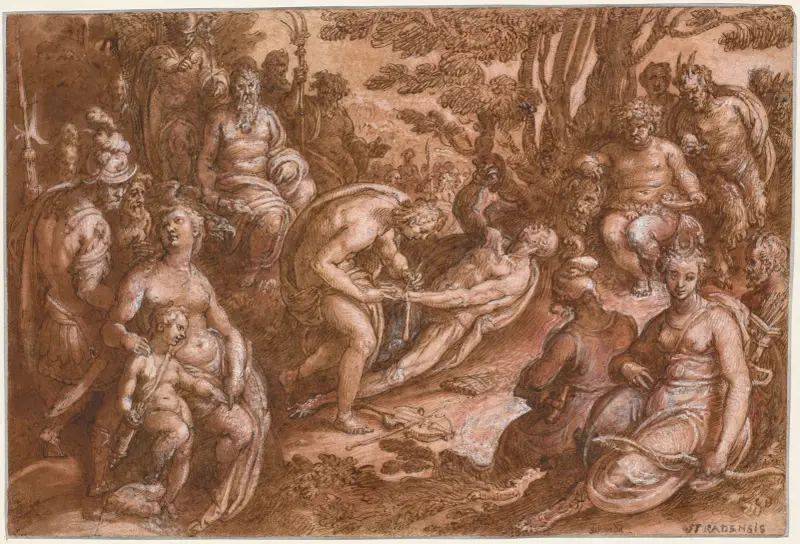 Marsyas flås av Jan van der Straet (Stradanus)