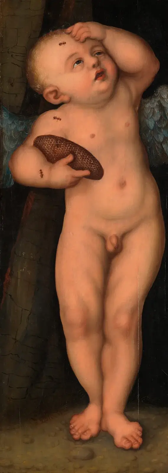 Amor jako zloděj medu, Lucas Cranach the Elder