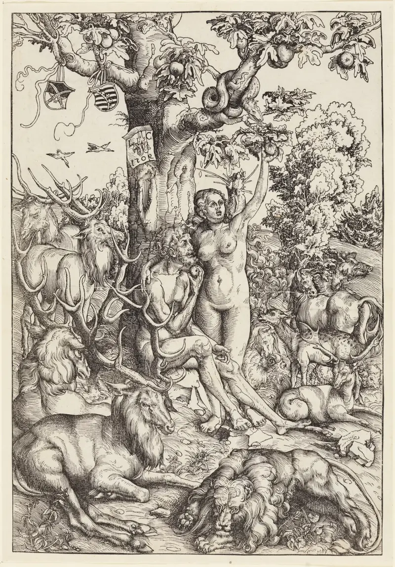 Der Sündenfall von Lucas Cranach the Elder