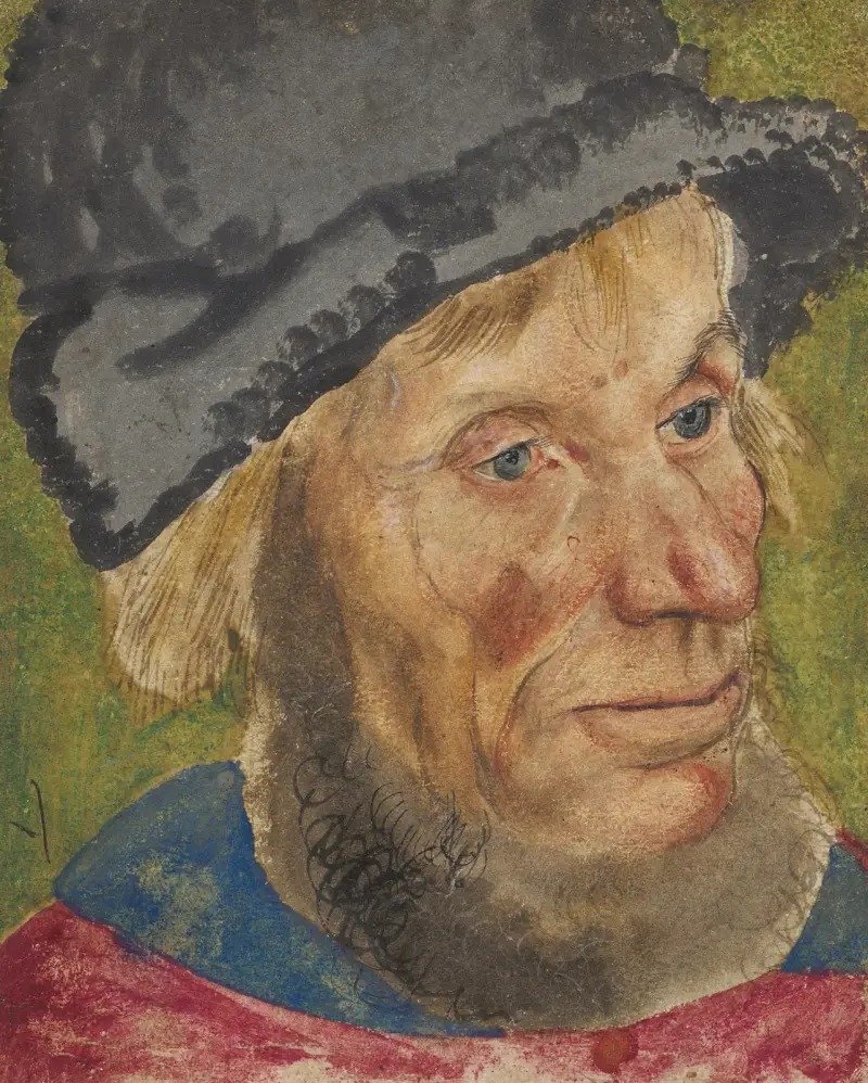Bauernkopf von Lucas Cranach the Elder