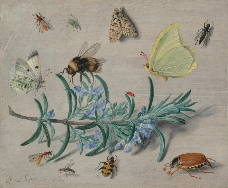 Insects and a Sprig of Rosemary av Jan Van Kessel The Elder