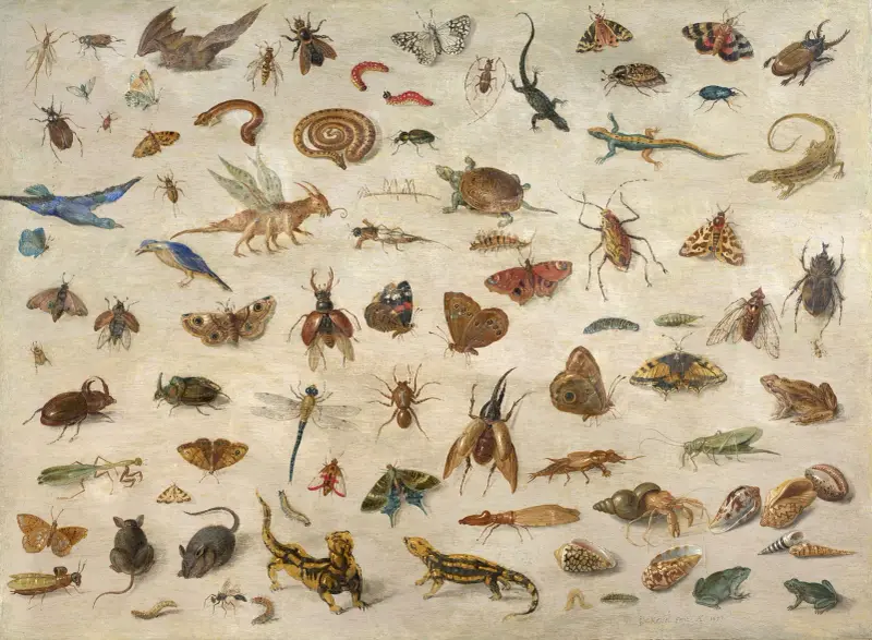 Insekten, Amphibien, Muscheln und Mäuse von Jan Van Kessel The Elder