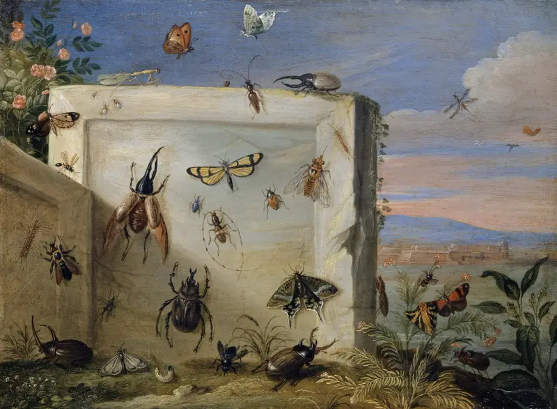 Insekten auf einer Steinplatte von Jan Van Kessel The Elder