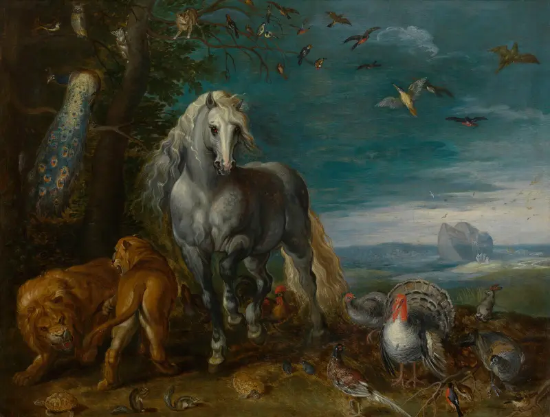Arka Noego, Jan Van Kessel The Elder