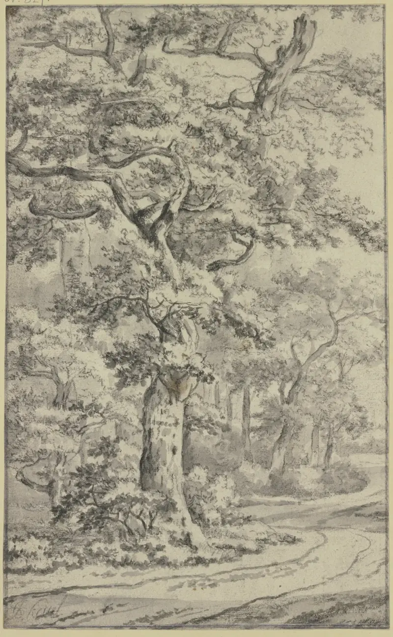 Cesta vedle dubů, Jan Van Kessel The Elder