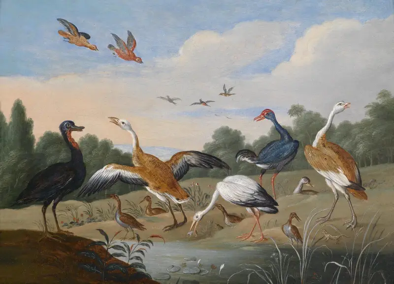 Volavky a kachny, Jan Van Kessel The Elder