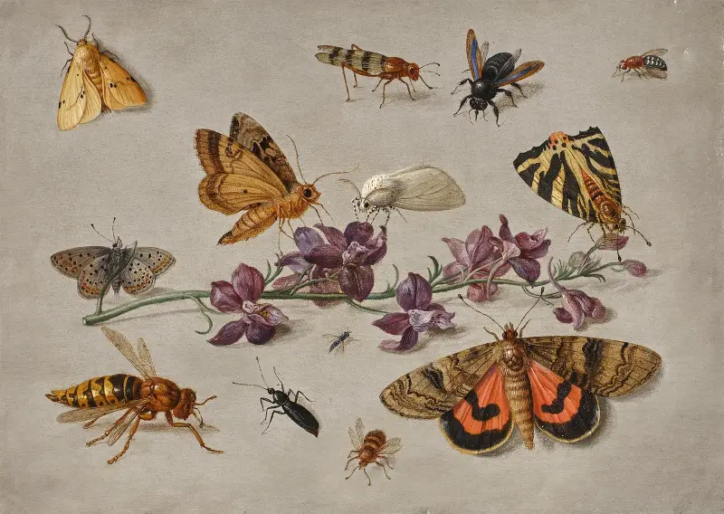 Kvist med riddarsporre, fjärilar, nattfjärilar och en geting av Jan Van Kessel The Elder