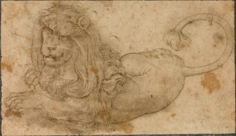 Studium lwa, Lucas Cranach the Elder