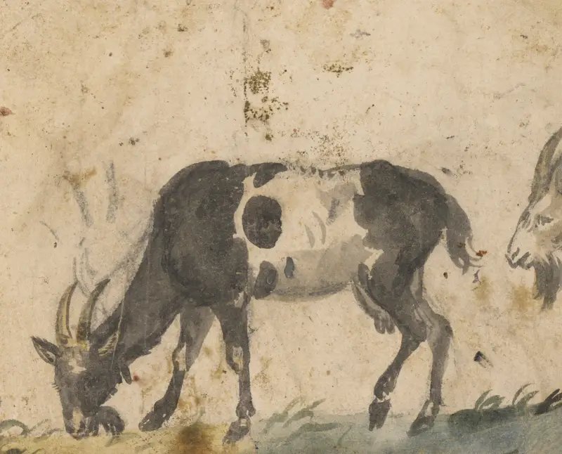 Studie koz, Lucas Cranach the Elder