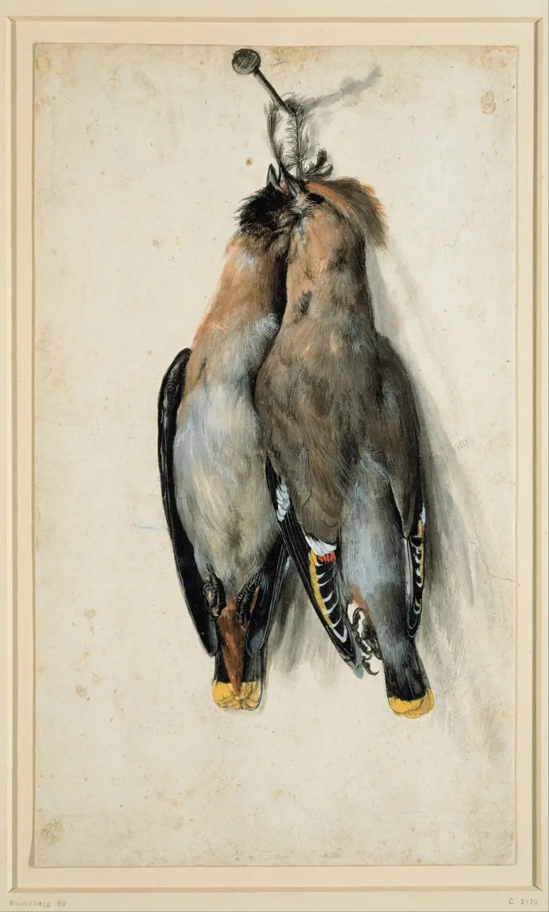 Dwa martwe jemiołuszki, Lucas Cranach the Elder