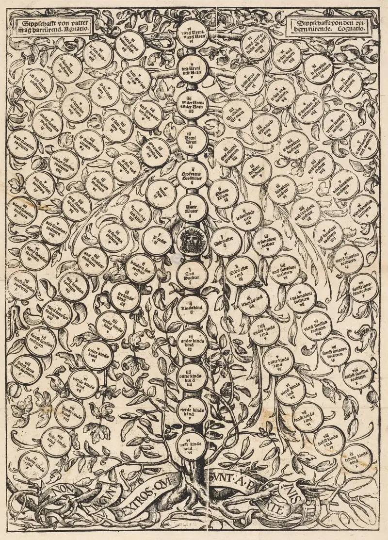 Genealogický strom, Hans Holbein The Younger