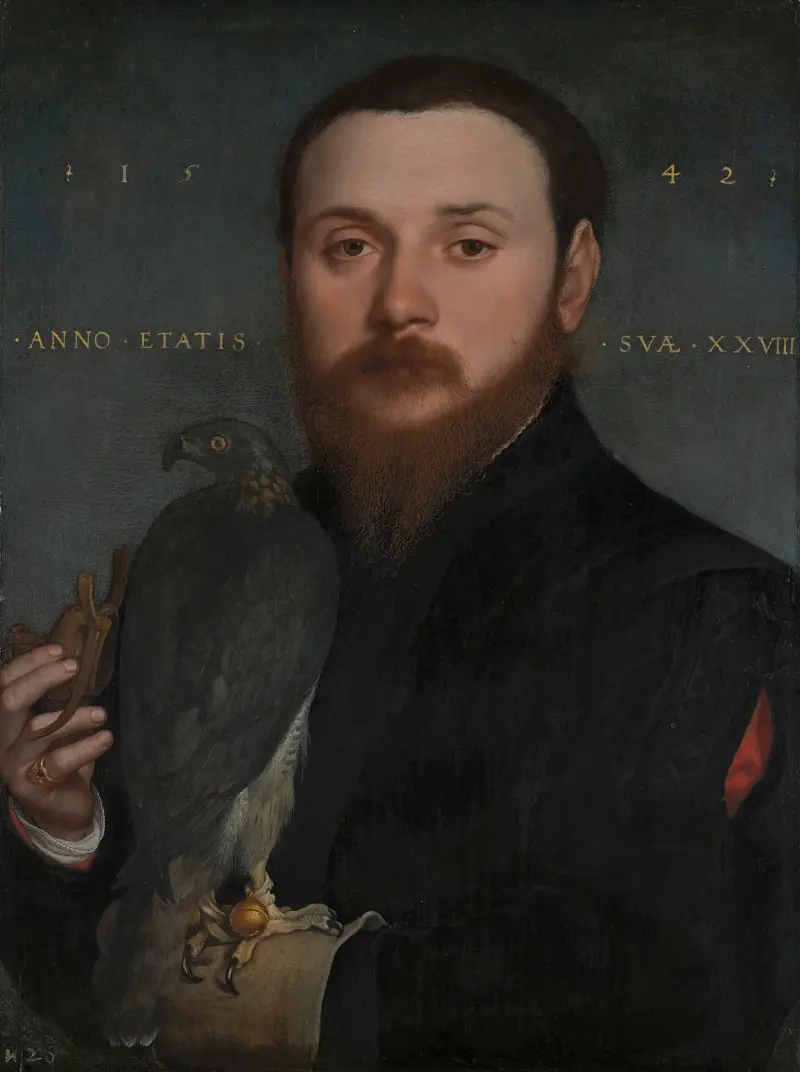 Portrait of a Nobleman with a Hawk av Hans Holbein The Younger