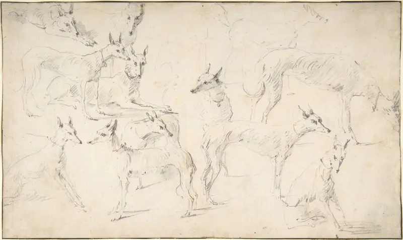 Studier av hundar av David Teniers The Younger