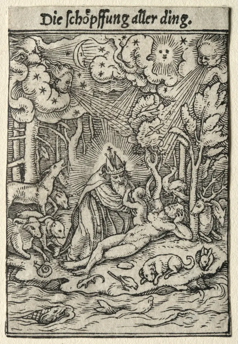 Stvoření, Hans Holbein The Younger