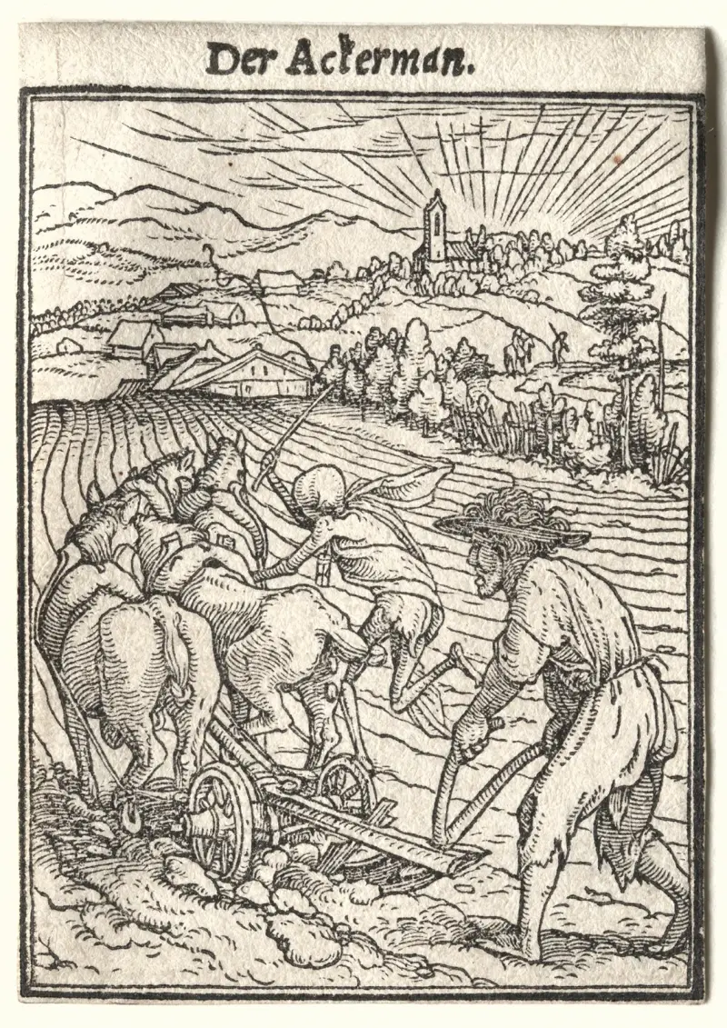 Oráč, Hans Holbein The Younger