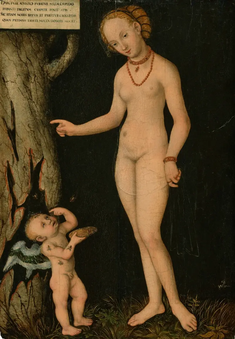 Venus with Cupid the Honey Thief av Lucas Cranach the Younger
