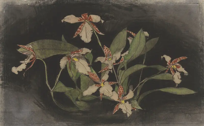 Kvetoucí větev orchideje, Theo Nieuwenhuis
