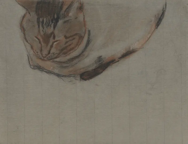 Liggende kat av Theo Nieuwenhuis