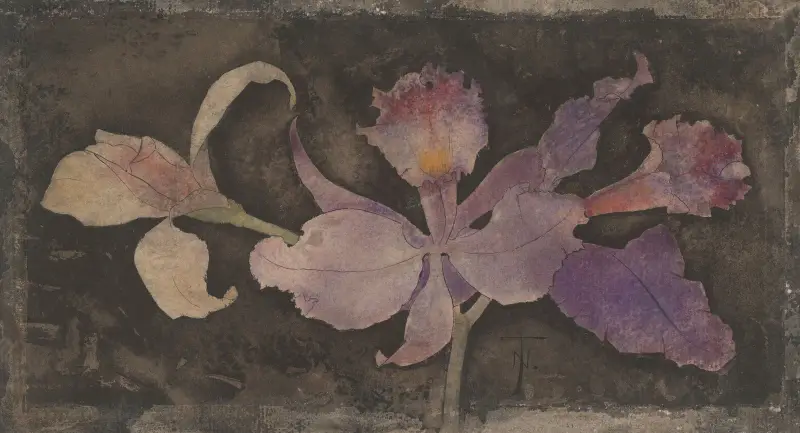 Fialová orchidej, Theo Nieuwenhuis