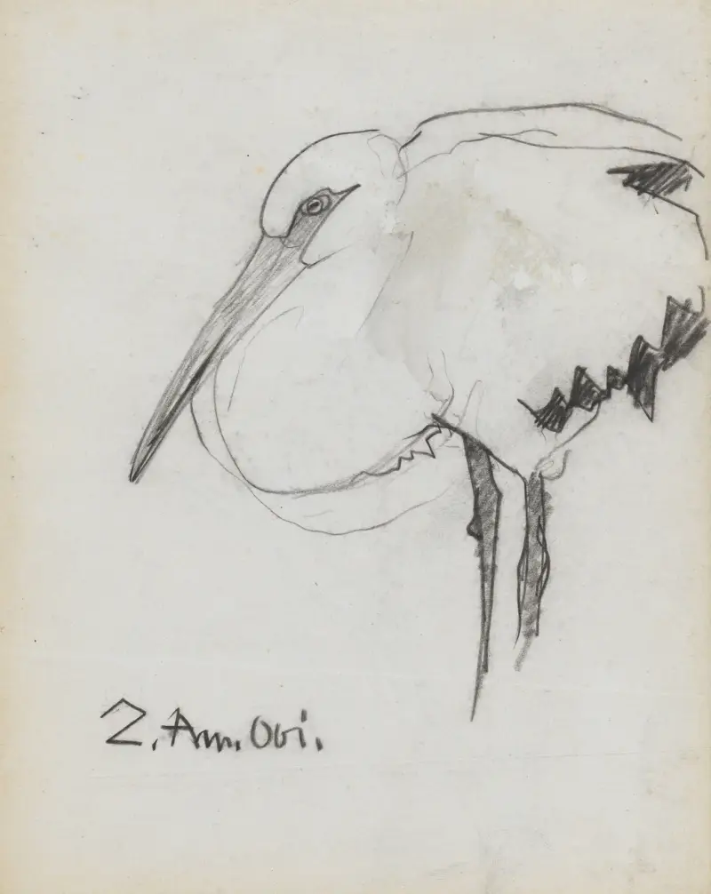 Südamerikanischer Storch von Theo Nieuwenhuis