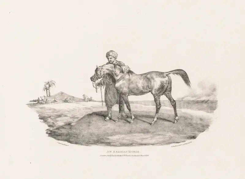 Ein arabisches Pferd von Théodore Géricault