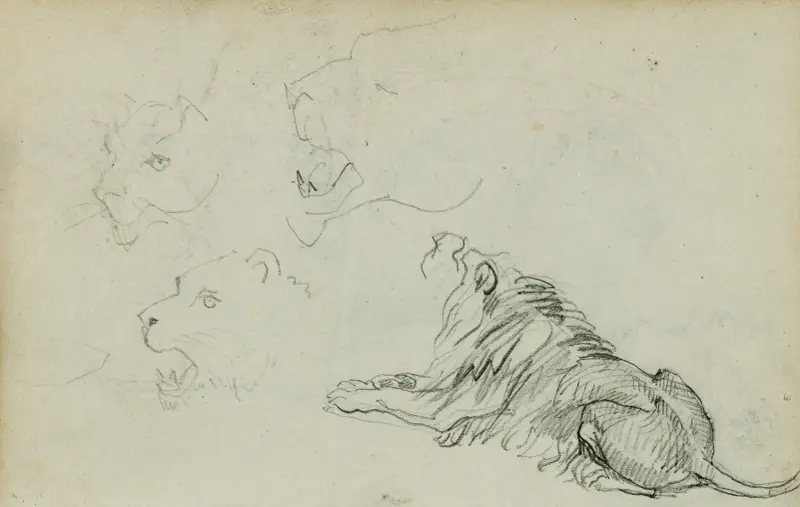 Fyra lejonstudier av Théodore Géricault