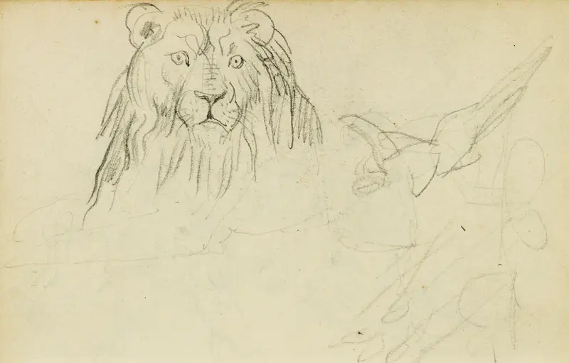 Lejon sett framifrån av Théodore Géricault