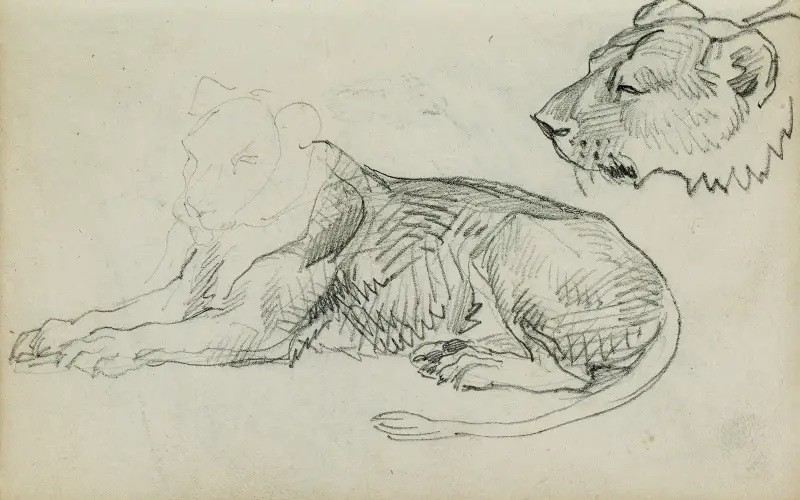 Sittande lejon, lejonhuvud av Théodore Géricault