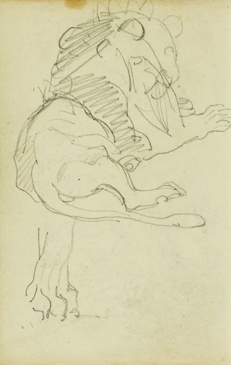 Seated lion, Théodore Géricault