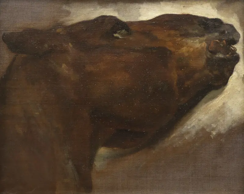 Studie av en död häst av Théodore Géricault