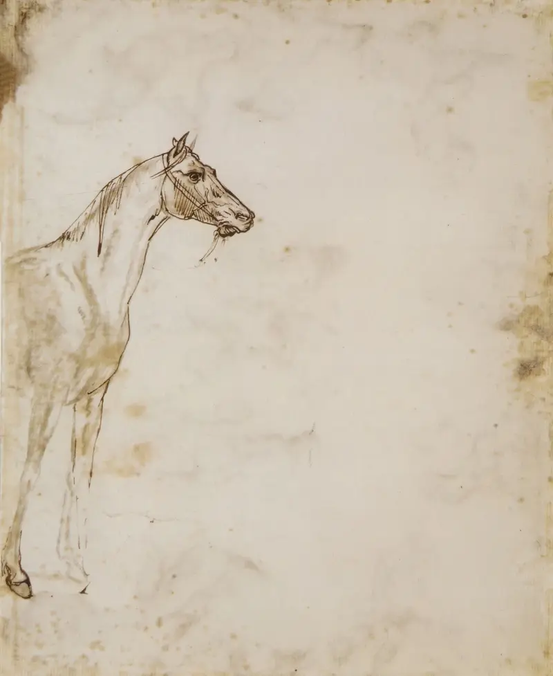 Studie av en häst av Théodore Géricault