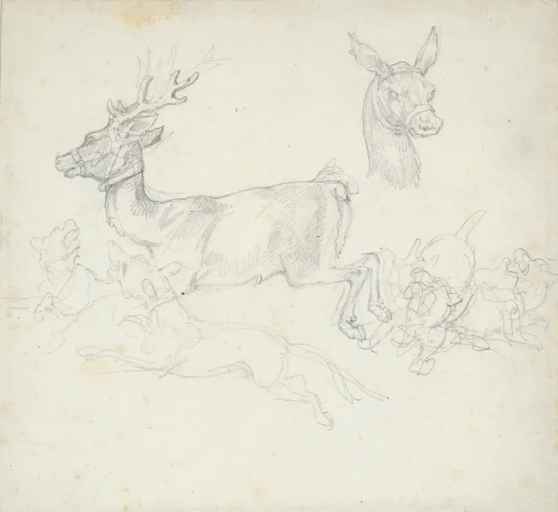 Studie av hjort jagad av hundar, hindens huvud av Théodore Géricault