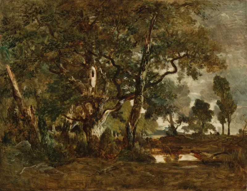 Forest of Fontainebleau, Cluster of Tall Trees Overlooking the Plain of Clair-Bois at the Edge of Ba… av Théodore Rousseau