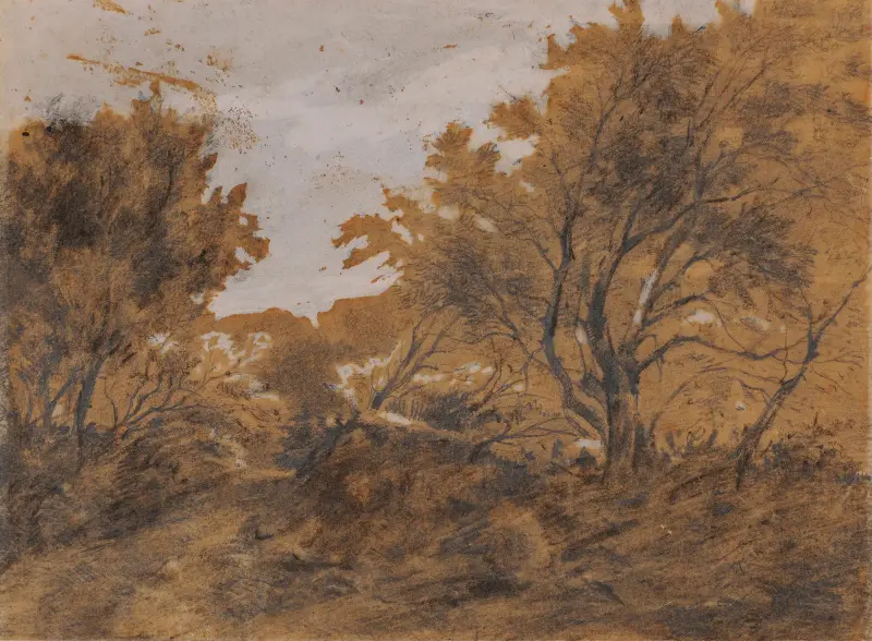 Paysage boisé, coup de vent av Théodore Rousseau