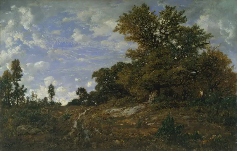 Der Waldrand bei Monts-Girard, Wald von Fontainebleau von Théodore Rousseau